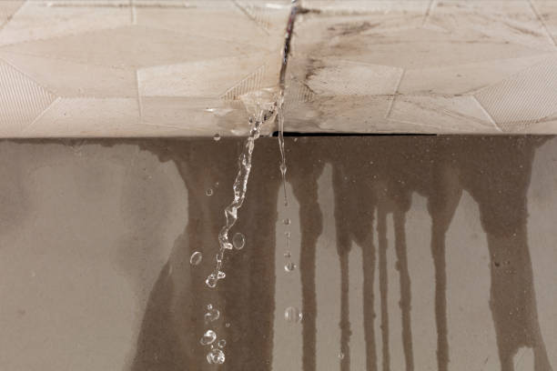 Professional Water Damage Repair technician working in Morehead City, NC